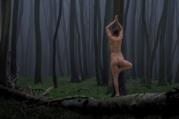 Dieses Bild dient zur Veranschaulichung meiner Arbeit.<br>
Nutzung, Weitergabe und Verarbeitung sind untersagt.<br>
(c) by Daneus.net
