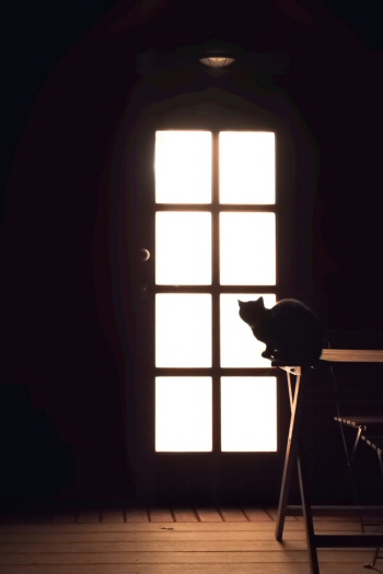 Dieses Bild dient zur Veranschaulichung meiner Arbeit.<br>
Nutzung, Weitergabe und Verarbeitung sind untersagt.<br>
(c) by Daneus.net
