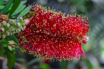 Bild 8<br><br />Dieses Bild ist lizenziert unter einer<br> <a class='license' rel='license' target='_new' href='http://creativecommons.org/licenses/by-nc-nd/4.0/'>Creative Commons Lizenz (CC BY-NC-ND 4.0) </a>.