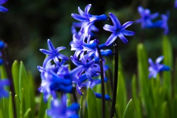 Picture 10<br><br />This picture is licensed under a<br> <a class='license' rel='license' target='_new' href='http://creativecommons.org/licenses/by-nc-nd/4.0/'>Creative Commons Lizense (CC BY-NC-ND 4.0) </a>.