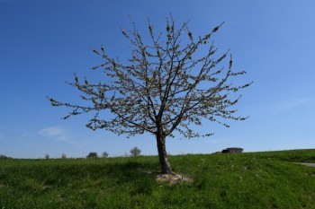 Bild 15<br><br />Dieses Bild ist lizenziert unter einer<br> <a class='license' rel='license' target='_new' href='http://creativecommons.org/licenses/by-nc-nd/4.0/'>Creative Commons Lizenz (CC BY-NC-ND 4.0) </a>.