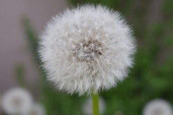 Bild 16<br><br />Dieses Bild ist lizenziert unter einer<br> <a class='license' rel='license' target='_new' href='http://creativecommons.org/licenses/by-nc-nd/4.0/'>Creative Commons Lizenz (CC BY-NC-ND 4.0) </a>.