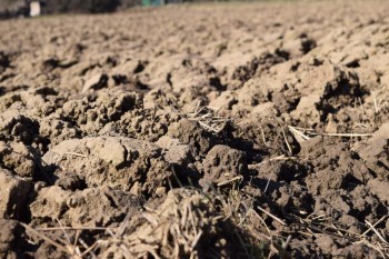 Picture 17<br><br />This picture is licensed under a<br> <a class='license' rel='license' target='_new' href='http://creativecommons.org/licenses/by-nc-nd/4.0/'>Creative Commons Lizense (CC BY-NC-ND 4.0) </a>.